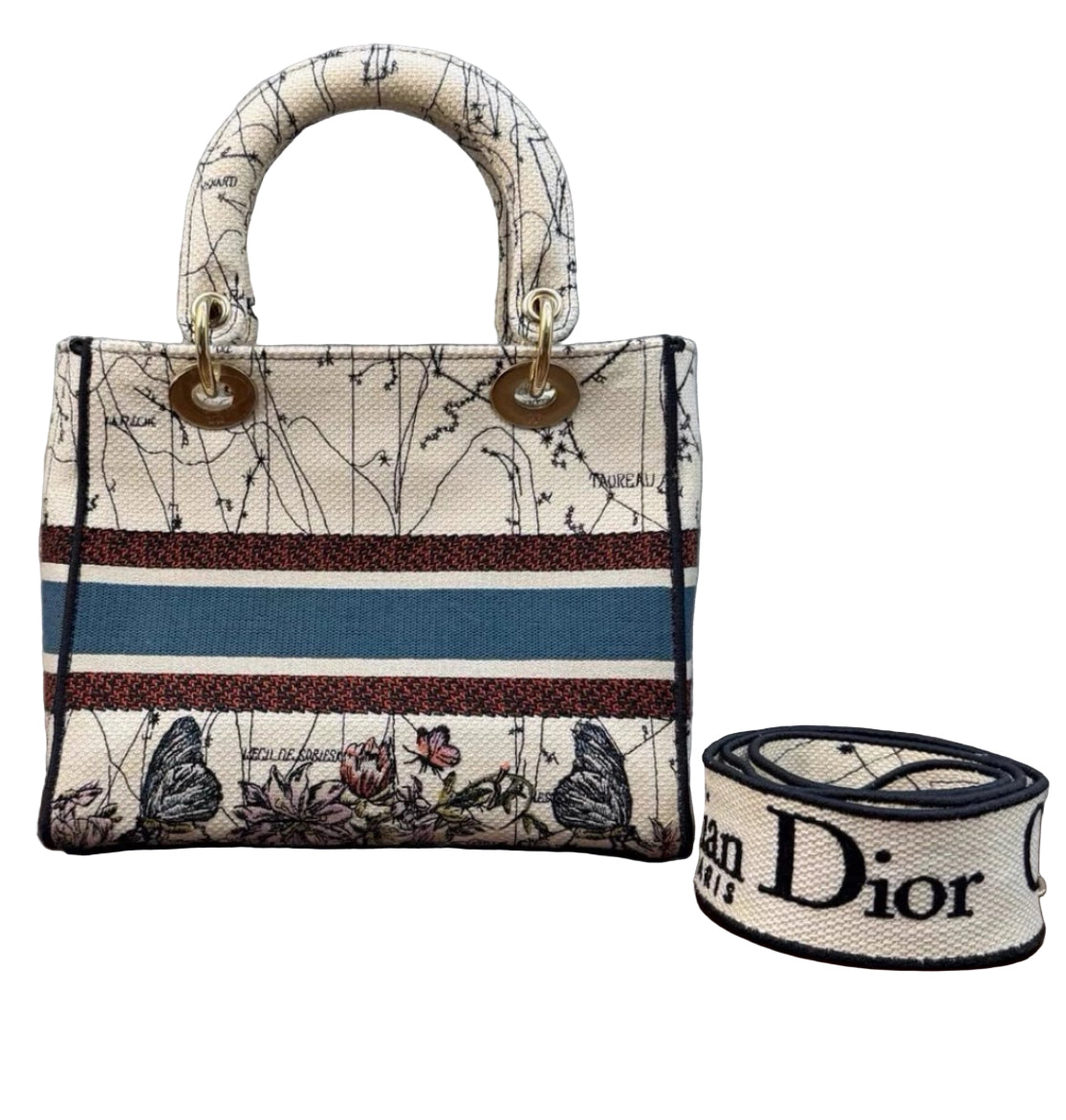 Christian Dior Canvas Embroidered Medium Lady D-Lite Ecru Multicolor Bag Handbag ladies