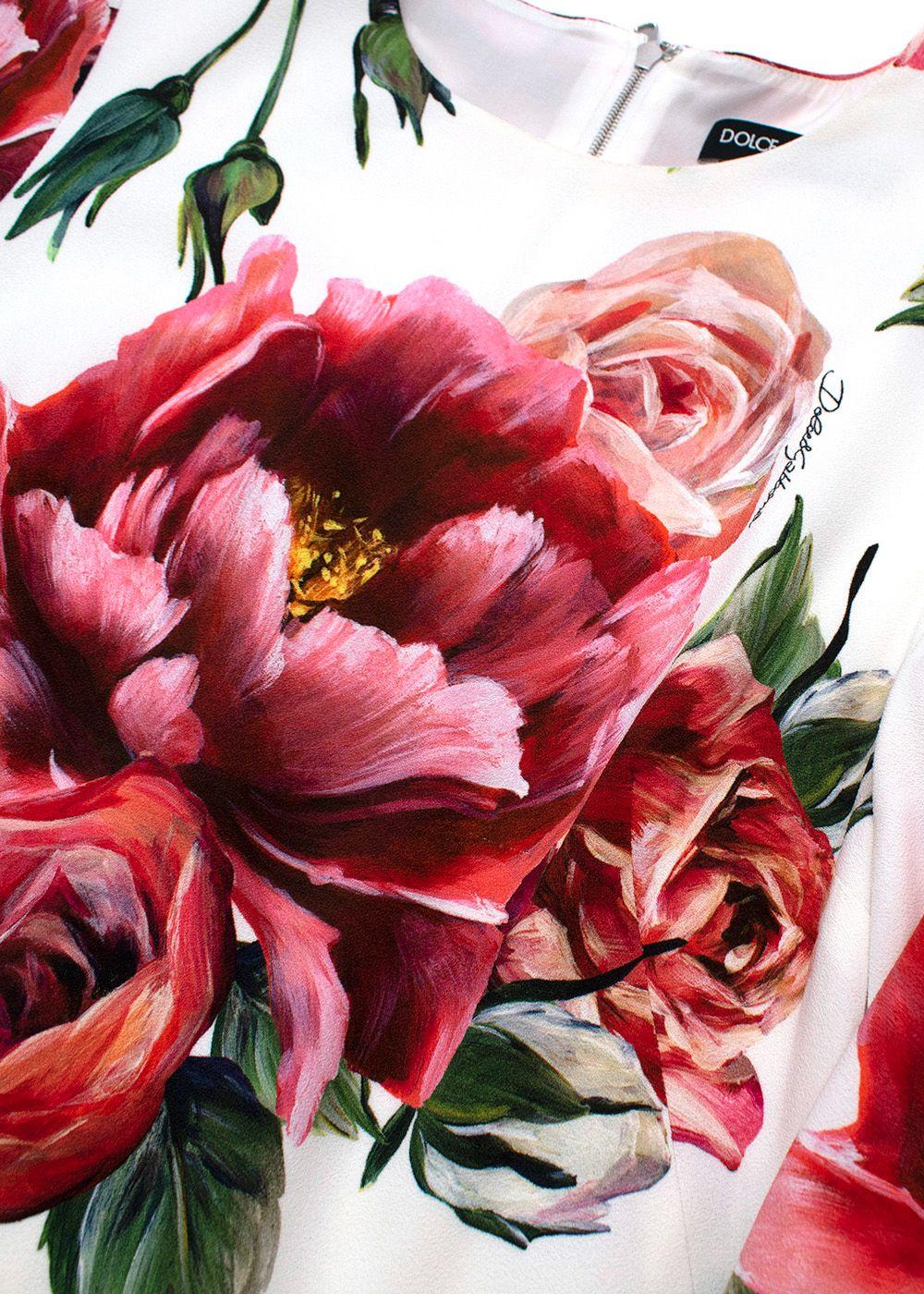 DOLCE & GABBANA Peony Roses print cady A-line dress Size I 36 UK 4 US 0 ladies