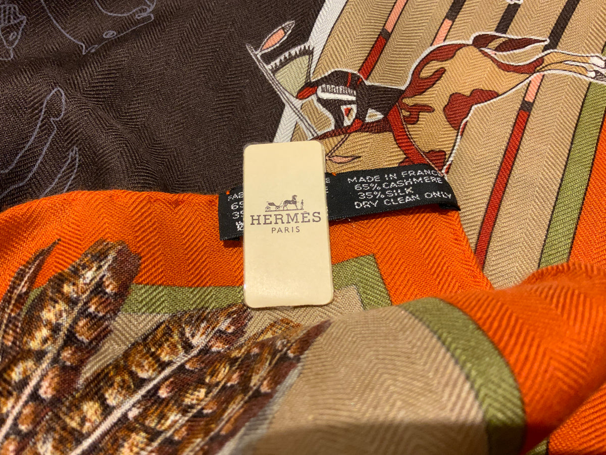 Hermès Hermes Paris Pani La Shar Pawnee 2022 Cashmere Silk Scarf ladies