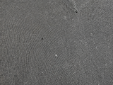 Zadig & Voltaire Black V-Neck Knit Top ladies