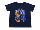 Lot of 4 Boys’ T-Shirts (Long Sleeve & Short Sleeve) 5-6 years children