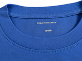 Calvin Klein Jeans Boys T-Shirt – Blue Logo Print – Age 12 (152 cm) children