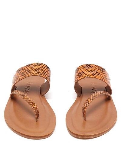 ÁLVARO GONZÁLEZ Alberta Snakeskin Slides Flip Flops Sandals Size 38 UK 5 US 8 ladies