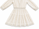 Melissa Odabash Lara Embroidered Georgette Mini Dress size M medium ladies
