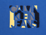 Calvin Klein Jeans Boys T-Shirt – Blue Logo Print – Age 12 (152 cm) children