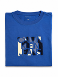 Calvin Klein Jeans Boys T-Shirt – Blue Logo Print – Age 12 (152 cm) children