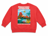 Children’s Designer Tops & Sweatshirts Lot – Lot of 4 – Age 7 Years children