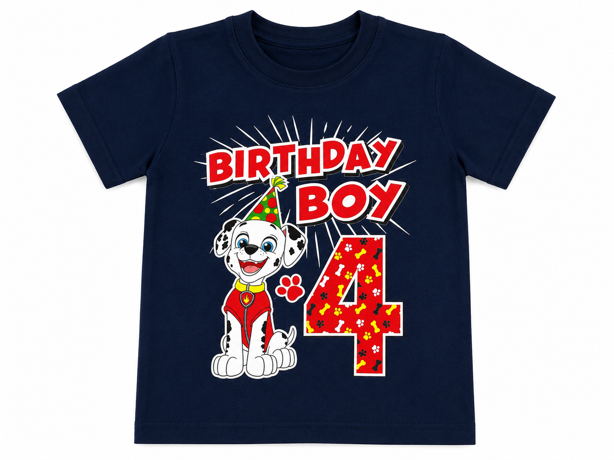 Boys’ Clothing Lot – 3 T-Shirts + Paw Patrol Pyjama Set children