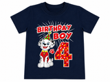 Boys’ Clothing Lot – 3 T-Shirts + Paw Patrol Pyjama Set children