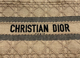 Christina Dior Book Tote Medium Raffia Bag Handbag ladies
