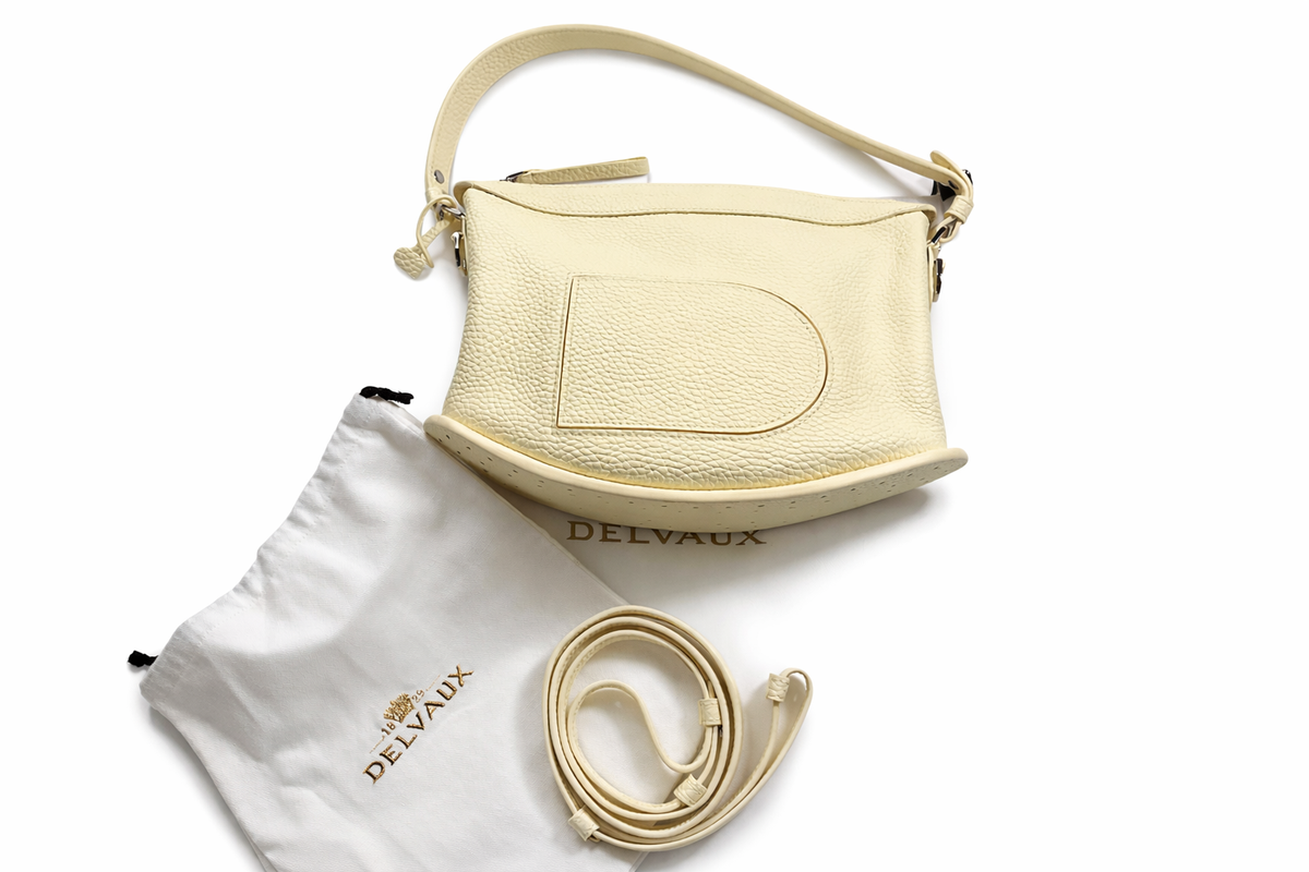 DELVAUX Taurillon Soft Pin Swing Small Bag Handbag Ladies