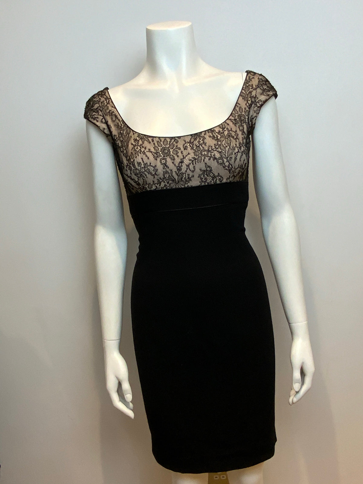 L'Wren Scott Net-a-Porter RUNWAY Dragonfly Blue Lace Bust Dress I 40 UK 8 US 4 ladies