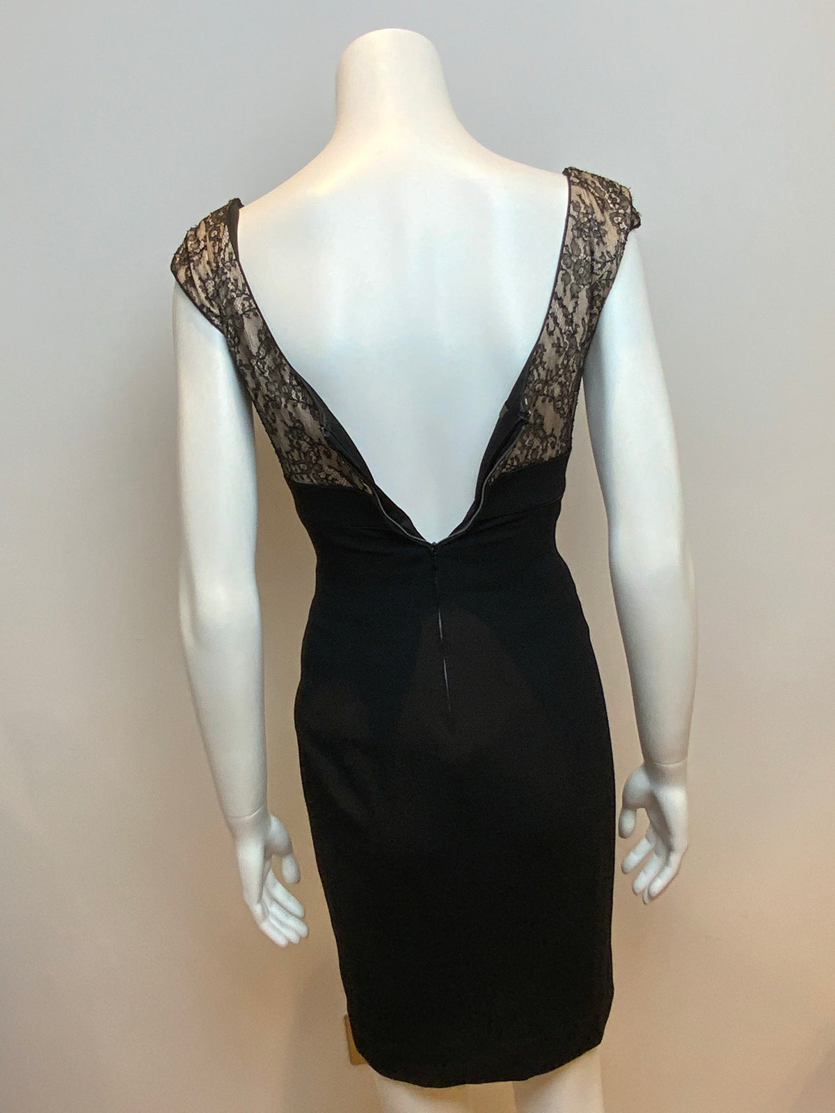 L'Wren Scott Net-a-Porter RUNWAY Dragonfly Blue Lace Bust Dress I 40 UK 8 US 4 ladies