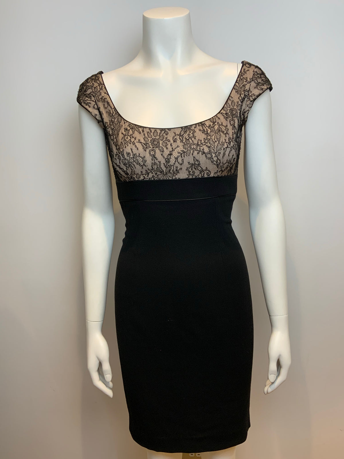 L'Wren Scott Net-a-Porter RUNWAY Dragonfly Blue Lace Bust Dress I 40 UK 8 US 4 ladies