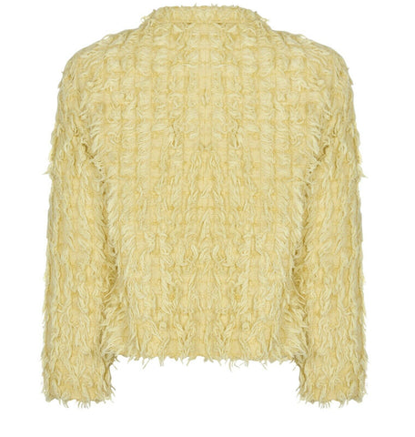 Chanel 2021 Collection by Virginie Viard Yellow Blazer Jacket F 38 UK –  Afashionistastore