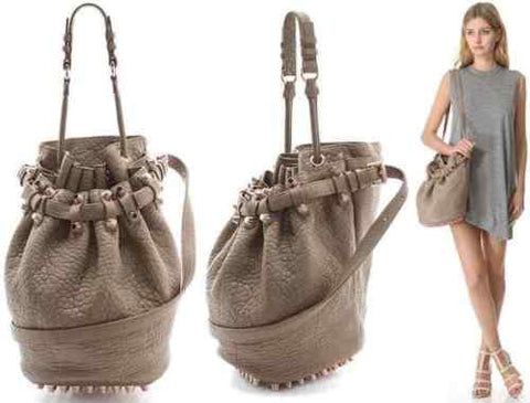 ALEXANDER WANG Pebbled Lambskin Diego Bucket Bag Latte Hobo Handbag Ladies